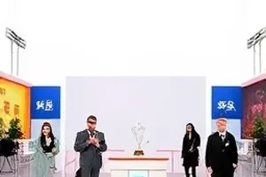 预售定金支付页面，提示文字被折叠在展开箭头之后